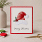 🏆🔥LAST DAY BUY 1 GET 1 FREE💖🎄 🧵Merry & Bright Christmas DIY Kit– Create Beautiful Handmade Holiday Cards ✨