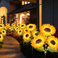 🌻Limited-time 50% off🌞Solar LED Sunflower Garden Lights-29.6inch/75cm