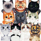 🐱Last Day Special Price!!🎅 Funny Cat Hand Towels