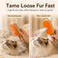 🔥Rechargeable Pet Spray Massage Comb