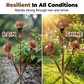 ⏳Limited-time 49% off⏰Calla Lily Garden Stake with Bell Chimes🌷🐦