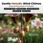 ⏳Limited-time 49% off⏰Calla Lily Garden Stake with Bell Chimes🌷🐦