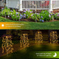 ⏳Limited-time Sale: ONLY ￡11.99!! ✨Solar Firework Garden Lights – Waterproof Starburst Stake Lamps for Paths, Patios & Parties 🌟🌧️✨ (Multi-Colour)