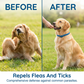 ⏰🔥LIMITED TIME 65% OFF!🔥50K+ SOLD! Natural Essential Oil Pet Pest Repellent Collar