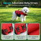 🐕 50% OFF NOW! 🦺 High Buoyancy Dog Life Jacket – Adjustable straps, bright visibility & strong flotation – Perfect for boating, beach & water safety 🌊